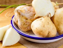 9 Manfaat Bengkoang Bagi Kesehatan, Dan Tidak Cocok Dengan Hal Ini!