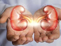 8 Makanan dan Buah Sehat Yang Ternyata Berbahaya Buat Ginjal. Jangan Berlebihan Mengkonsumsinya, Ya! 