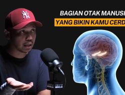Mengapa Kita Mudah Mengingat Hal Buruk? Rahasia Emosi, Memori, dan ‘Blink’ dari Sudut Pandang Neurosains