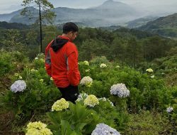Saat Dunia Berhenti Berputar: Menemukan Cahaya di Tengah Labirin Duka