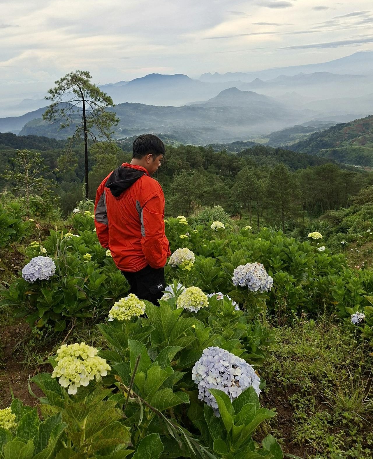 Pendakian Epik Gunung Luhur Sukamakmur Bogor, Bonus Taman Bunga dan Hutan Magis Sukamakmur! Gunung Luhur Bogor