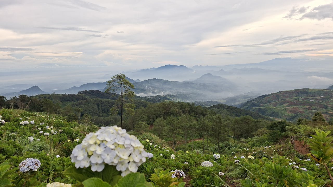 Pendakian Epik Gunung Luhur Sukamakmur Bogor, Bonus Taman Bunga dan Hutan Magis Sukamakmur! Sunrise Camp Gunung Luhur