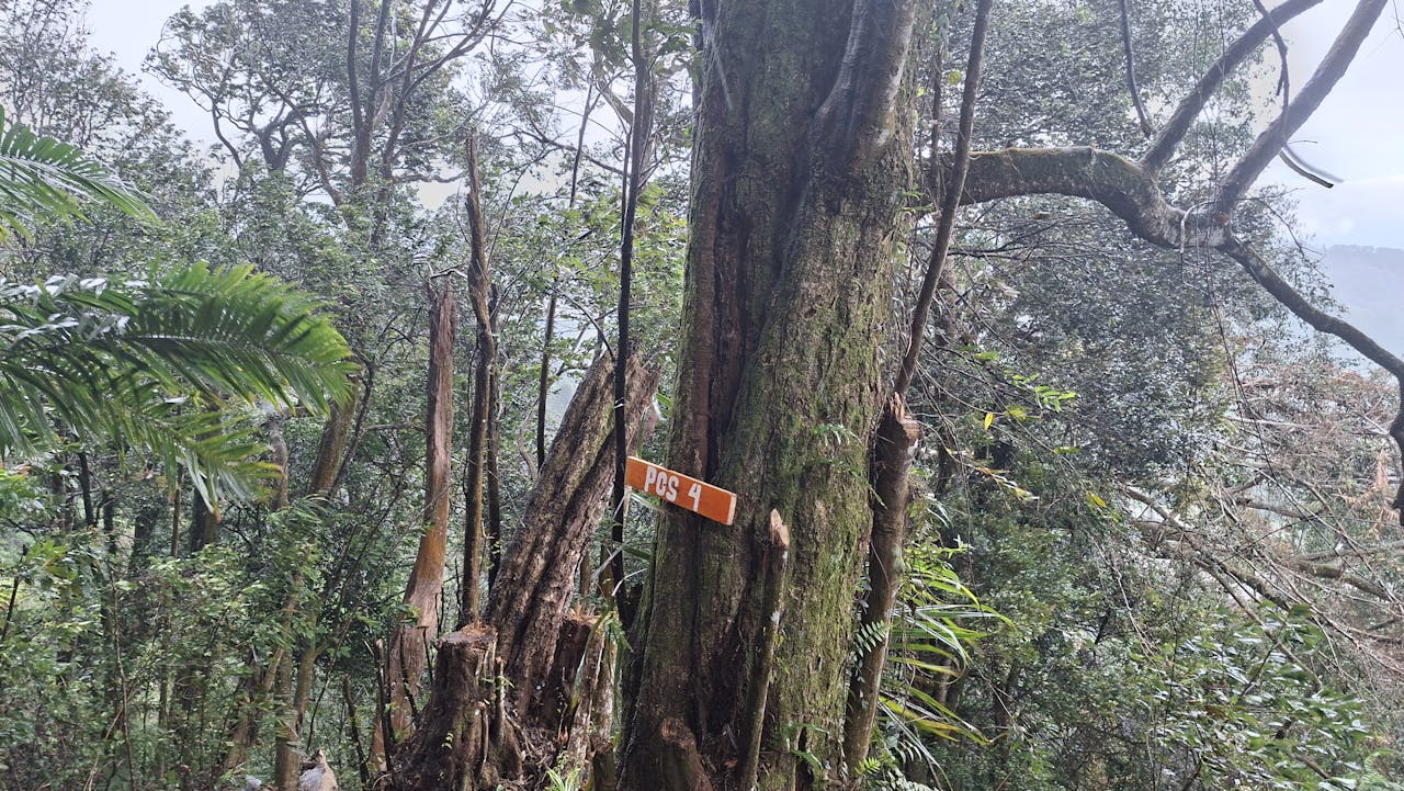 Pos 4 Curug Naga Biru